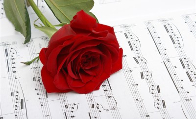 A red rose compliments the notes of music.